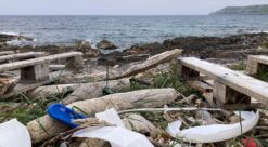 A huge amount of plastic waste accumulated on a Norwegian shoreline among driftwood.