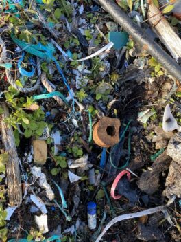 Closeup of plastic trash on a beach. Photo.