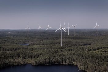 Windmills in an otherwise undisturbed patch of Swedish forest. Photo.