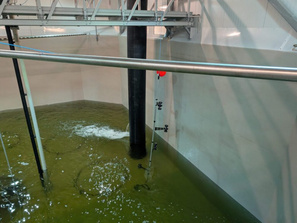 The tank is filled with water