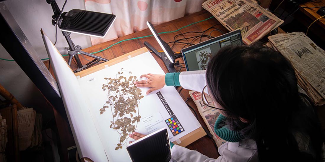 Can artificial intelligence help save nature?