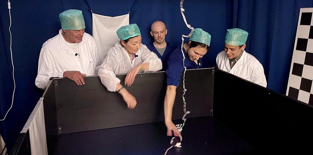 Researchers in the rat laboratory. Edvard Moser, May-Britt Moser, Rich Gardner, Michael F. Schellenberger, and Abraham Z. Vollan. Photo.